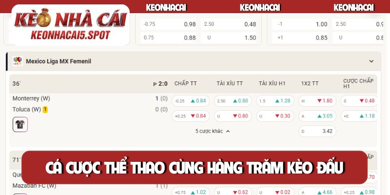 Cá cược thể thao cùng hàng trăm kèo đấu