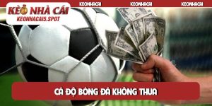 Cá độ bóng đá không thua