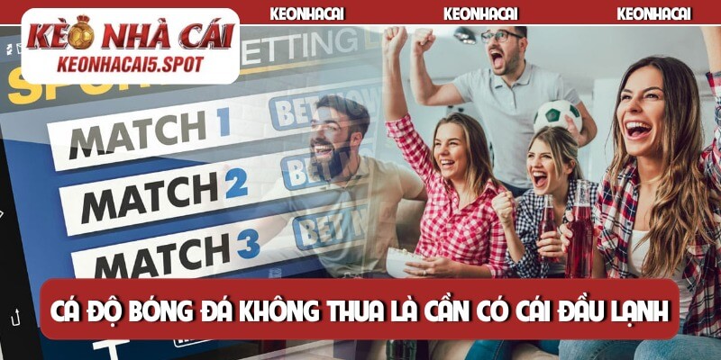 Cá độ bóng đá không thua là cần có cái đầu lạnh