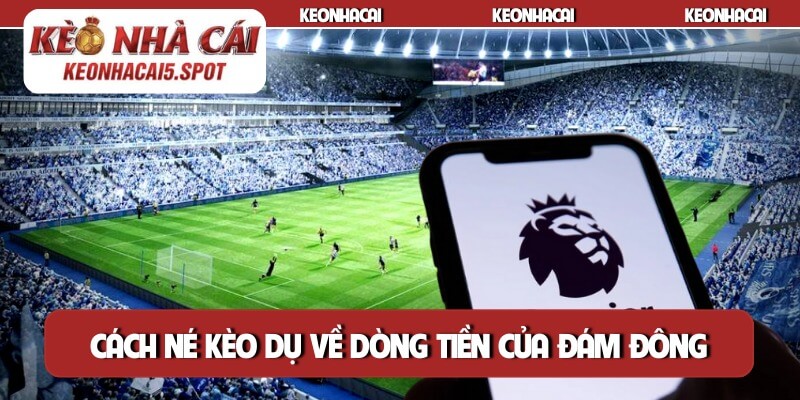 Cách né kèo dụ về dòng tiền của đám đông