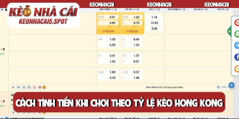 Cách tính tiền khi chơi theo tỷ lệ kèo Hong Kong