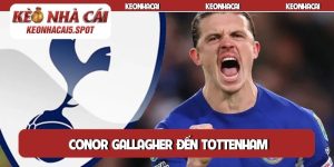 Conor Gallagher đến Tottenham