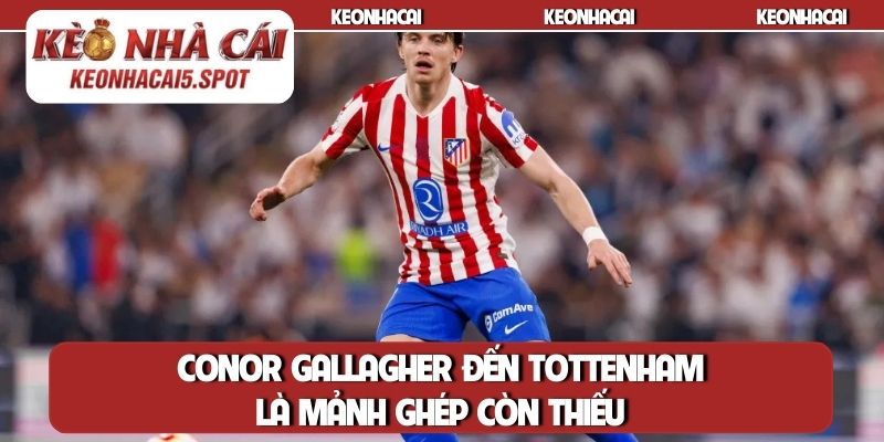 Conor Gallagher đến Tottenham là mảnh ghép còn thiếu