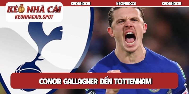 Conor Gallagher đến Tottenham