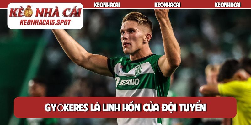 Gyökeres là linh hồn của đội tuyển