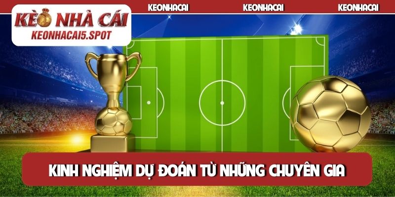 Kinh nghiệm dự đoán từ chuyên gia