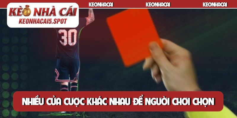 Nhiều cửa cược khác nhau để người chơi chọn