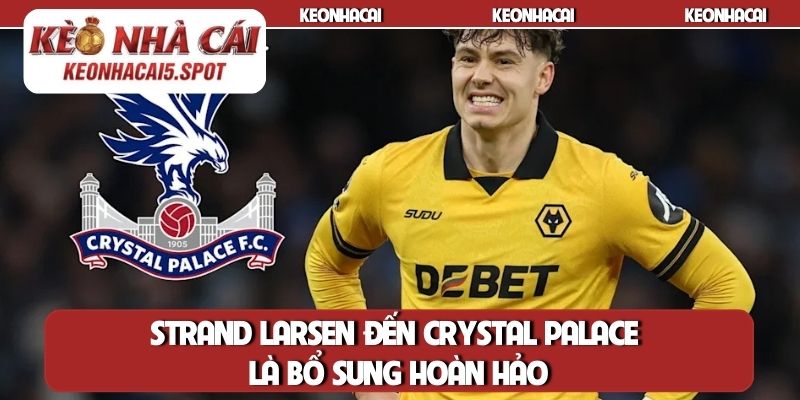 Strand Larsen đến Crystal Palace là bổ sung hoàn hảo